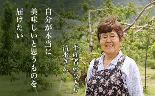 なつっこ (白桃） 約3kg 7～12玉 ［小布施屋］ 桃 白桃 もも モモ フルーツ 果物 令和7年産 【2025年8月上旬～中旬発送】 ［A-5］