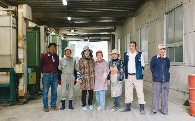 米 らくらくお米便 計60kg 元気つくし ( 5kg × 12回 )