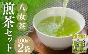 八女茶 煎茶セット 100g × 2袋 お茶 煎茶 緑茶 茶 飲み物 飲料 セット 常温 福岡県