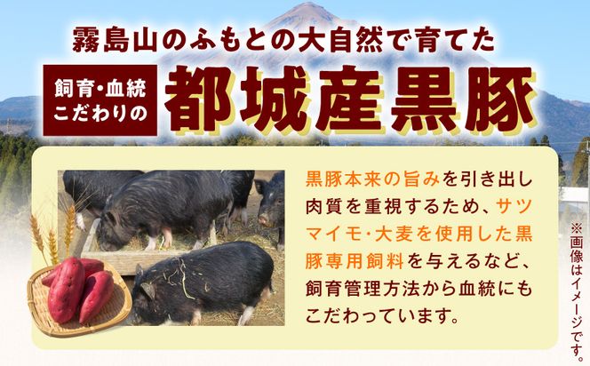 黒豚生ハム1.4kg_MJ-2519_(都城市) 宮崎県産 黒豚 豚肉 豚生ハム 120g×12パック 生ハム 小分け パック 都城産 黒豚 豚肉 加工品 食品 つまみ 酒のお供 酒の肴