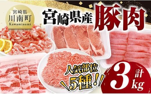 宮崎県産豚肉5種 3kg [ 豚肉 ぶた肉 肉 ロース バラ 切り落とし ミンチ 焼肉用 豚肉セット ][C11627]