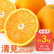 【2027年先行予約】家庭用 訳あり きよみ 清見オレンジ 和歌山 有田 2S～3Lサイズ混合 約3kg_DZ6226