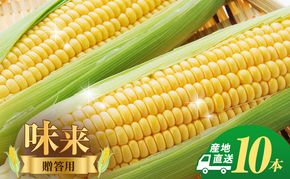 とうもろこし 味来 贈答用 10本 トウモロコシ 宮城県産 甘い 夏 朝採れ 産地直送 宮城県 大河原町
