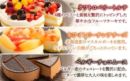 フルーツ / チョコムース / レアチーズ ホールケーキ 3種 冷凍 糸島市 / 五洋食品産業 [AQD017] ランキング 上位 人気 おすすめ