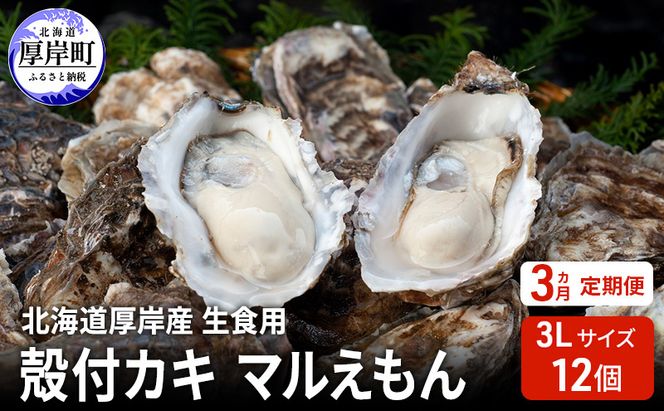【 3ヵ月 定期便 】 北海道厚岸産 生食用 殻付カキ 3Lサイズ  12個　マルえもん 魚貝類 海の幸 海のミルク 海鮮 国産 北海道産 オイスター つまみ お酒 あて 肴 生牡蠣 メルマガ掲載商品1