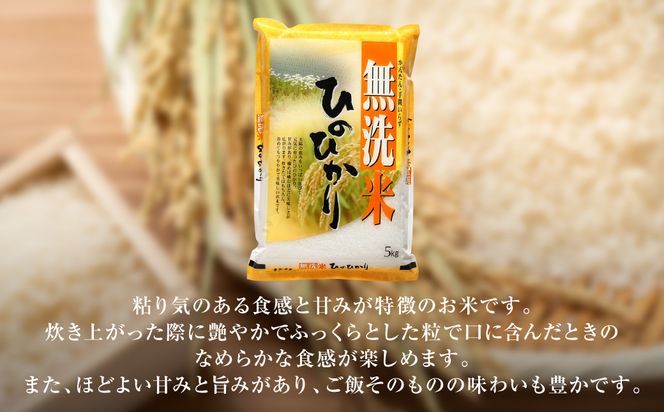 【令和7年産】 熊本県産 無洗米 熊本ひのひかり 10kg (5kg×2袋) 米 お米 精米 白米 ごはん ご飯 熊本