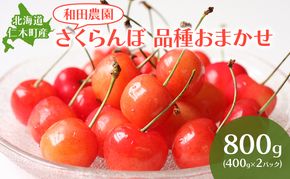 [先行受付] 北海道 仁木町産 さくらんぼ 品種おまかせ 800g(400g×2パック) サクランボ チェリー フルーツ 果物 果物類 仁木町 仁木 [和田農園]