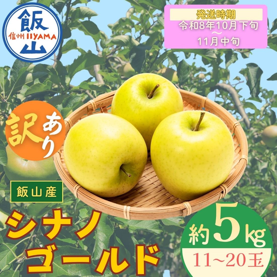 [先行予約丨2026年10月下旬より順次発送]訳あり シナノゴールド[約5kg(11〜20玉)](At-024)
