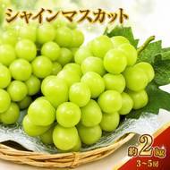 シャインマスカット 約2kg 3～5房 ぶどう 葡萄 フルーツ 岡山 高梁市産 2026年 先行予約 果物類 果物 