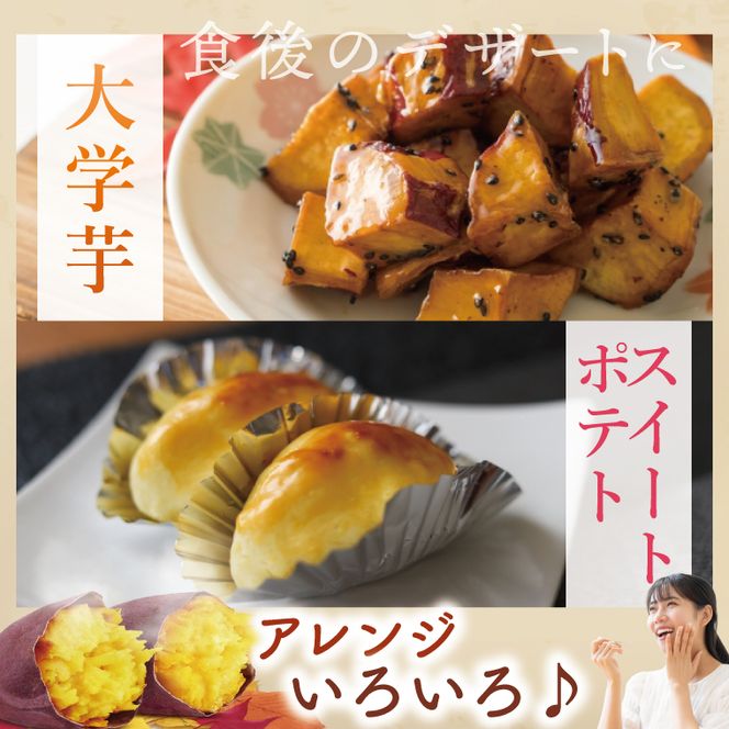 【先行予約】熟成さつまいも シルクスイート5kg【10月中旬より順次発送予定】｜茨城県 大子町 サツマイモ 芋 甘い ホクホク 野菜 数量限定 秋 旬 産地直送（CH003）
