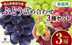 【2026年の先行予約】 岡山 花笑み農園『彩り３種セット』家庭用（1.8kg） 3M-2家 / ぶどう 詰め合わせ 食べ比べ シャインマスカット 岡山 真庭市 【hana085-01】