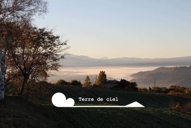 ワイン 2022シェルブラン 白ワイン お酒 酒 アルコール 長野県 小諸市 小諸 ギフト プレゼント 