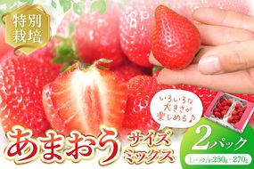 【先行予約受付中】【2026年12月以降順次発送】特別栽培あまおう2パック(サイズミックス)【うるう農園】_AS1967-00