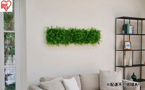 ＤＥＣＯ ＧＲＥＥＮ ウォールパネル WG-50A アジアンタム 3個セット フェイクグリーン 壁掛け  アイリスオーヤマ ウォールグリーン 25×25cm 正方形 インテリア おしゃれ 壁面緑化パネル 人工観葉植物