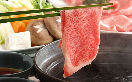 飛騨牛 もも300g・ロース300g しゃぶしゃぶ用 計600g 飛騨牛 A5等級 和牛 黒毛和牛 F4N-2664