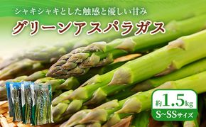 2027年春発送！ふらの グリーンアスパラ 約1.5kg [ 数量限定 先着順 アスパラ アスパラガス 野菜 新鮮 直送 北海道 富良野 ]