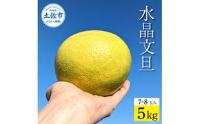 土佐市産 水晶文旦 約5kg (7～8玉）文旦 ぶんたん ブンタン すいしょうぶんたん ハウス栽培 甘い 高級 果物 柑橘 フルーツ 果物 ご当地 お取り寄せ ５キロ