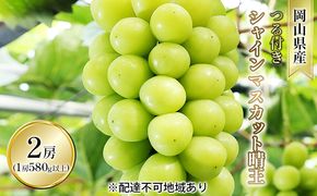 ぶどう 2026年 先行予約 つる付き シャイン マスカット 晴王 2房入り（1房 580g以上 ハウス栽培） ブドウ 葡萄  岡山県産 国産 フルーツ 果物 ギフト 岡山の葡萄 