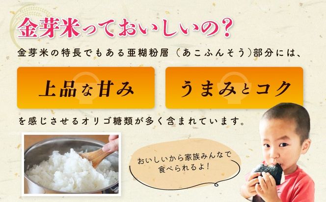 099H4352 金芽米4.5kg＋金芽ロウカット玄米2kgセット 【ご飯 ごはん お米 精米 金芽米計量カップ付】
