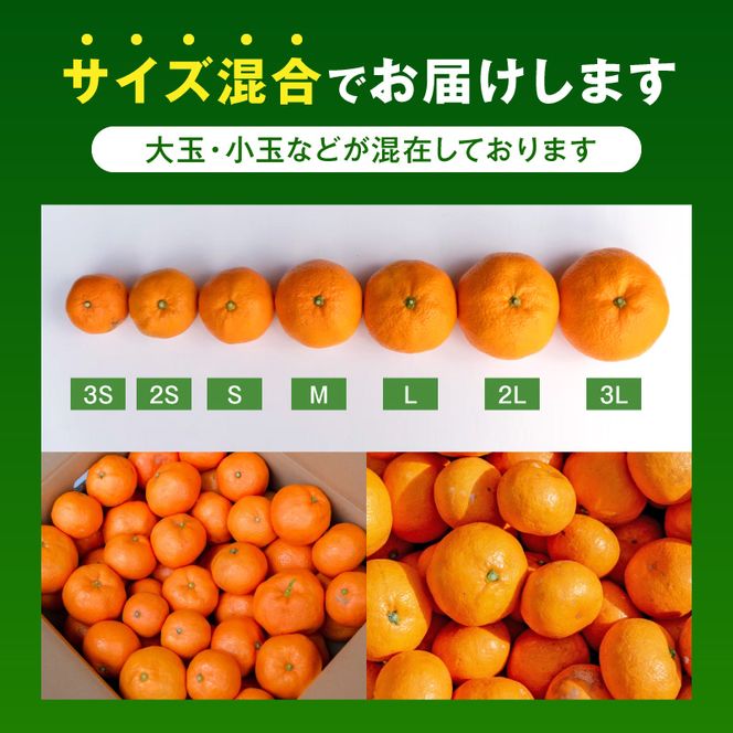 【2026年先行予約】【訳あり ご家庭用】和歌山県産 有田みかん 10kg＋2kg保証分 サイズ混合_EH6100