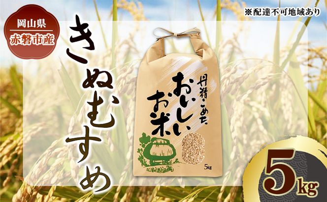 令和7年 きぬむすめ 玄米 5kg 晴れの国 岡山県産 米 お米 コメ おこめ 岡山 赤磐市