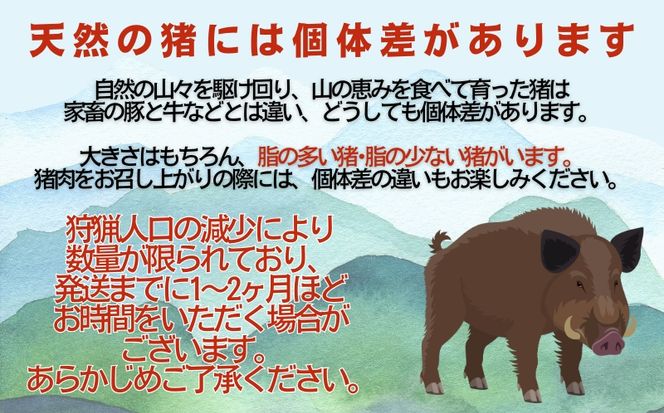愛南ジビエの猪肩ロース肉　500g（5個/月限定）