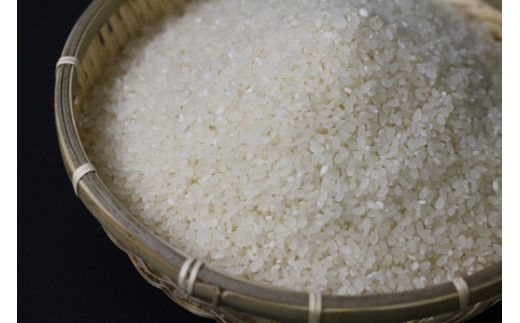 令和7年産　近江米　キヌヒカリ【10kg（5kg×2袋）】環境こだわり米【AB63W】