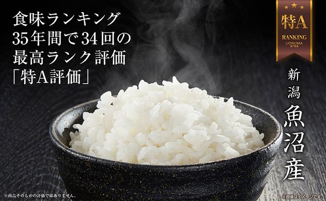 【令和8年産 新米】 新潟県 魚沼産 コシヒカリ お米 15kg （5kg×3袋） 精米済み（お米の美味しい炊き方ガイド付き）白米  こしひかり 食品 人気 おすすめ 送料無料 十日町 十日町市 精米 産直