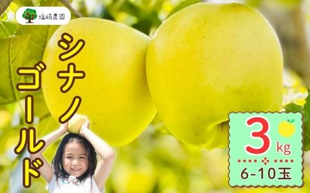 [先行予約] シナノゴールド [約3kg(6-10玉)] (7-A25-1) 長野県 飯山市 おすすめ ランキング おいしい 高評価 大人気 リンゴ