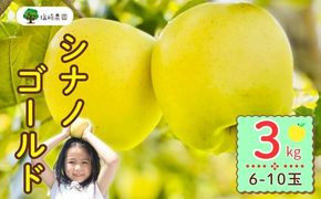 【先行予約丨2026年10月下旬より順次発送】シナノゴールド【約3kg (6〜12玉)】(At-014)丨長野県 飯山市 おすすめ ランキング おいしい 高評価 大人気 先取り 産地直送 りんご