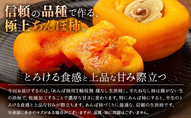 【2026年先行予約】柿 かき あんぽ柿用 T軸枝無 種なし 生渋柿 選べる 1.5~2kg 4.5~5kg 14.5~15kg ふるさと農園《10月中旬-11月上旬頃より発送予定(土日祝除く)》 和歌山県 日高町 贈り物 ギフト---wsh_fsn15_10c11j_25_11000_612---