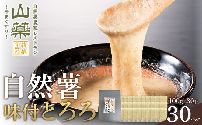 解凍するだけ！毎日の新しい健康習慣に！自然薯味付とろろ100g30p