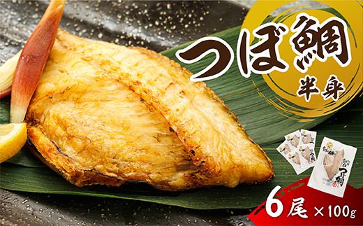 干物界の最高級魚 厳選した つぼ鯛 半身（100g×6尾）｜ ツボダイ ツボ鯛 一夜干し 干物 ひもの 魚干物 つぼだい 無添加 小分け 個包装 白身魚 焼魚 焼き魚 魚 冷凍 スピード発送 すぐ届く 魚干物 海鮮 絶品 人気 笹谷商店 直営 釧之助本店 せんのすけ 高級 すぐ発送 北海道 釧路町 釧路超 特産品