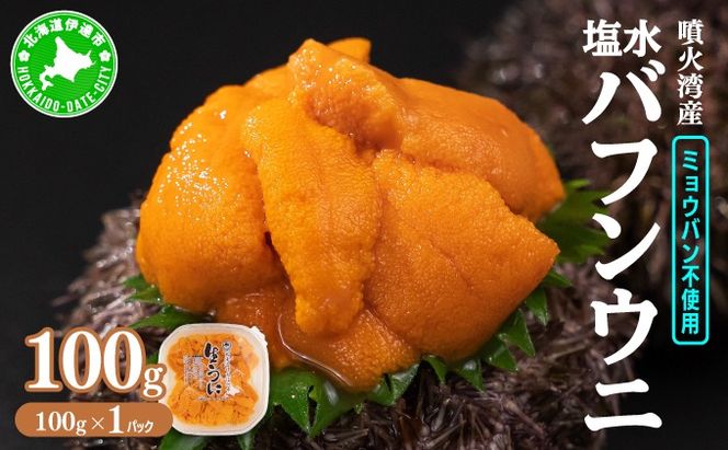 北海道 噴火湾産 塩水 バフンウニ 100g 1パック 《アフター保証付き》うに ウニ 雲丹 海鮮 海の幸 魚介類 ウニ丼 お寿司 濃厚 無添加 産地直送 産直 お取り寄せ 山村水産 送料無料 【55250661】