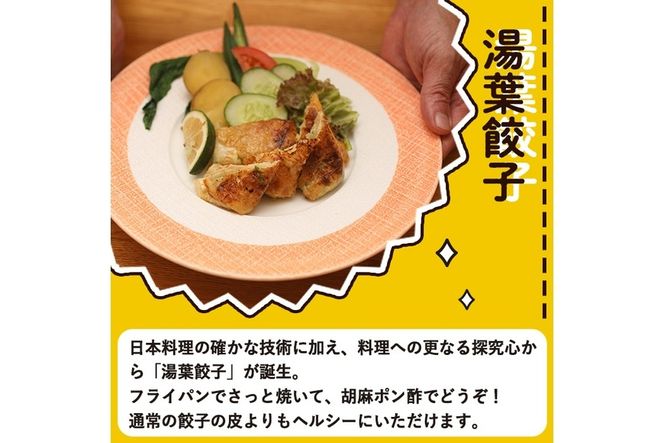 衝撃一品！御料理はし本 湯葉餃子 (計10個) 餃子 ギョーザ 豚肉 牛肉 湯葉 おつまみ おかず お惣菜 冷凍 大分県 佐伯市【AB224】【柳井商店】