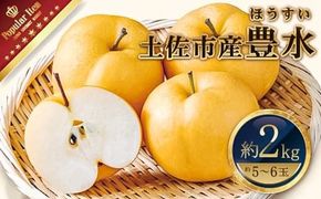 【先行予約】高知県土佐市産 梨（豊水）約2kg 5～6玉 〈2026年8月下旬頃～9月中旬頃発送〉 ほうすい なし ナシ 2キロ 国産 フルーツ 果物 くだもの デザート スイーツ 旬 甘い 果汁たっぷり ジューシー【株式会社とさもん】[BQAE016]