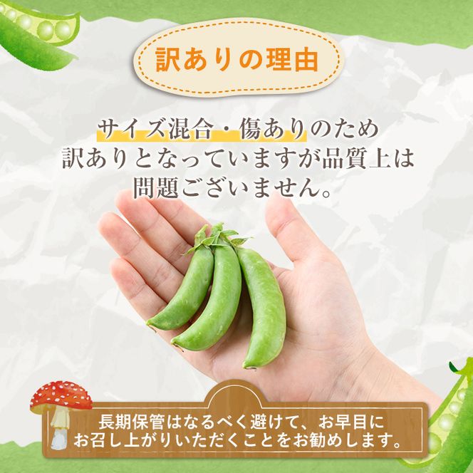 ＜先行予約受付中！2026年12月中旬以降順次発送予定＞訳あり！鹿児島県産 スナップエンドウ(約2kg) 国産 野菜 スナップエンドウ スナップえんどう おつまみ サラダ 炒め物 訳アリ サイズ混合【松永青果】akn053-07