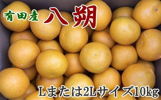 【手選果】有田産の八朔10kg（Lまたは2Lサイズいずれかお届け）＜2027年1月下旬～2027年2月下旬頃に順次発送＞【tec846A】