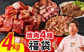 mrz0337 2025年 焼肉 福袋 4種 4kg【氷温熟成×特製ダレ 500g 小分け 牛肉 牛タン ヒレ ハラミ バラ 数量限定】