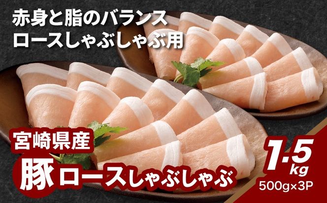 y{茧؏钬z{茧Y؃[XԂԗp 1.5kg K16_0189