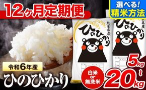 令和6年産 【12ヶ月定期便】無洗米 も選べる 白米 米 ひのひかり  5kg 10kg  15kg  20kg 《お申し込み月の翌月から出荷開始》熊本県 氷川町 国産 熊本県産 白米 精米 無洗米 送料無料 ヒノヒカリ こめ お米 ---hn6tei_180000_5kg_mo12_hkw_h---