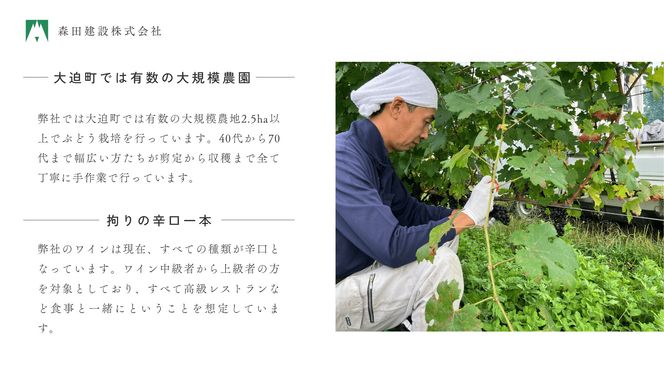 モリタワイン リースリング2022 ダム貯蔵ワイン ワイン大迫 白ワイン 【2197】