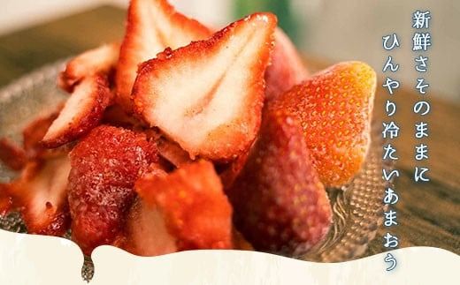 いちご 冷凍 あまおう 1.5kg [THE FARM_strawberry 福岡県 宇美町 um40azo780002] イチゴ 苺 フルーツ 果実 甘い