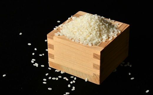夢ごこち＜特別栽培米＞精米 10㎏（減農薬 有機肥料 お米 米 おこめ こめ 白米 ゆめごこち）【002312D】