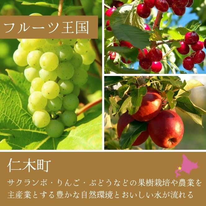 【北海道産ワイン】 限定スパークリングワイン KP”Beginning" 750ml×2本 仁木町産ナイアガラ100%使用 ワイン 白 辛口 スパークリング お酒 シャンパン 