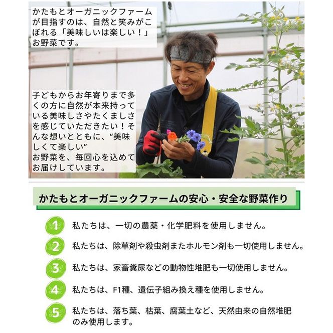 【2026年産 予約】たまねぎ 5kg 自然栽培のかわいい玉ねぎ（小たまねぎ）京都府・亀岡産 かたもとオーガニックファームよりお届け ｜ 訳あり 玉葱 タマネギ 小さめ サイズ小 ※離島への発送不可 ※2026年6月頃より順次発送予定