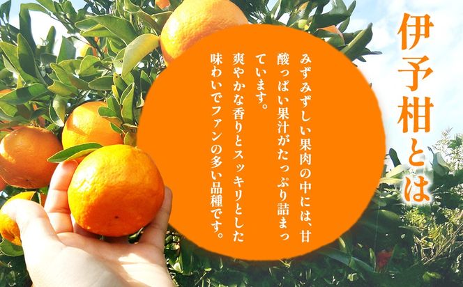 【先行予約】【訳あり】伊予柑計5kg ※離島への配送不可（2027年2月上旬頃より順次発送予定 ）IKTAC034