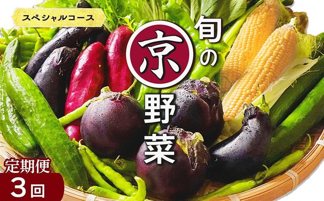 【3回定期便】旬の京野菜　毎月お届けスペシャルコース（全3回）≪京都 丹波 野菜 ふるさと納税野菜≫ ※沖縄・離島・諸島へのお届け不可