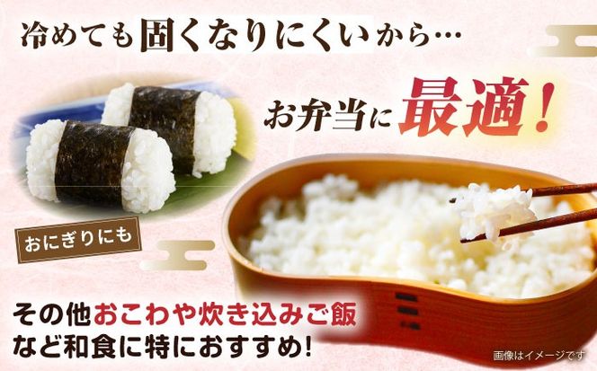 【令和7年産】ミルキークイーン 2合× 20袋 （ 300g × 20袋 ） 小分け袋 糸島市 / 玄米・精米専門店 新飼宗一郎商店 米 白米[ADE018]