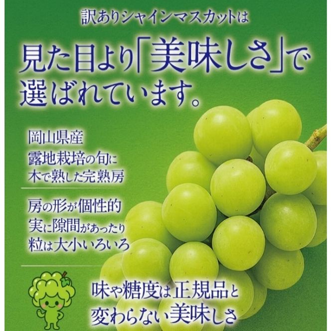 先行予約 訳あり 木熟ぶどう ハレノシャイン シャインマスカット 2房 約1.2kg 10月～11月発送 皮ごと食べる みずみずしい 甘い フレッシュ 冷蔵 晴れの国 おかやま 果物大国 ご家庭用 ハレノフルーツ
